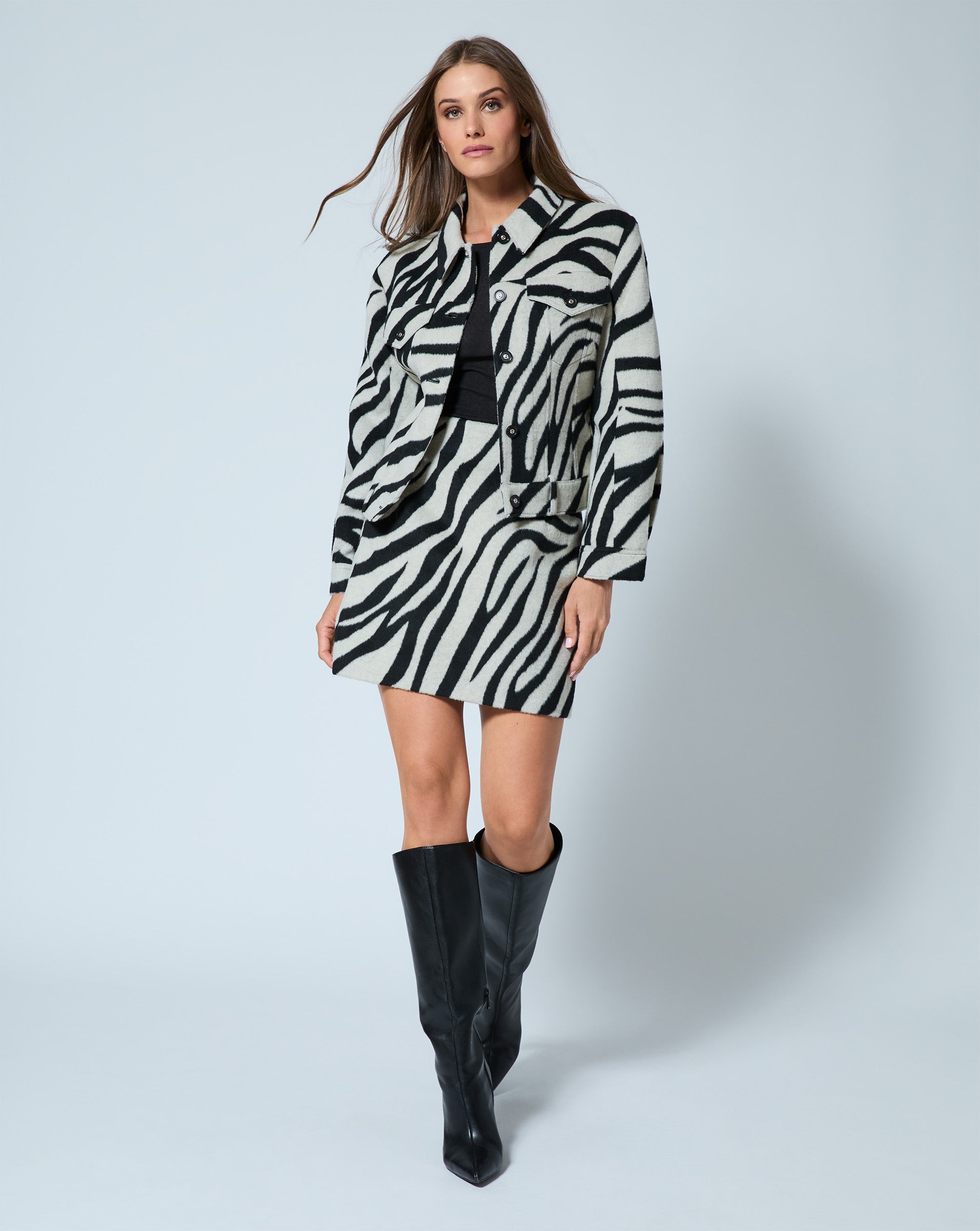 Zebra Print Mini Skirt – Adrienne Landau
